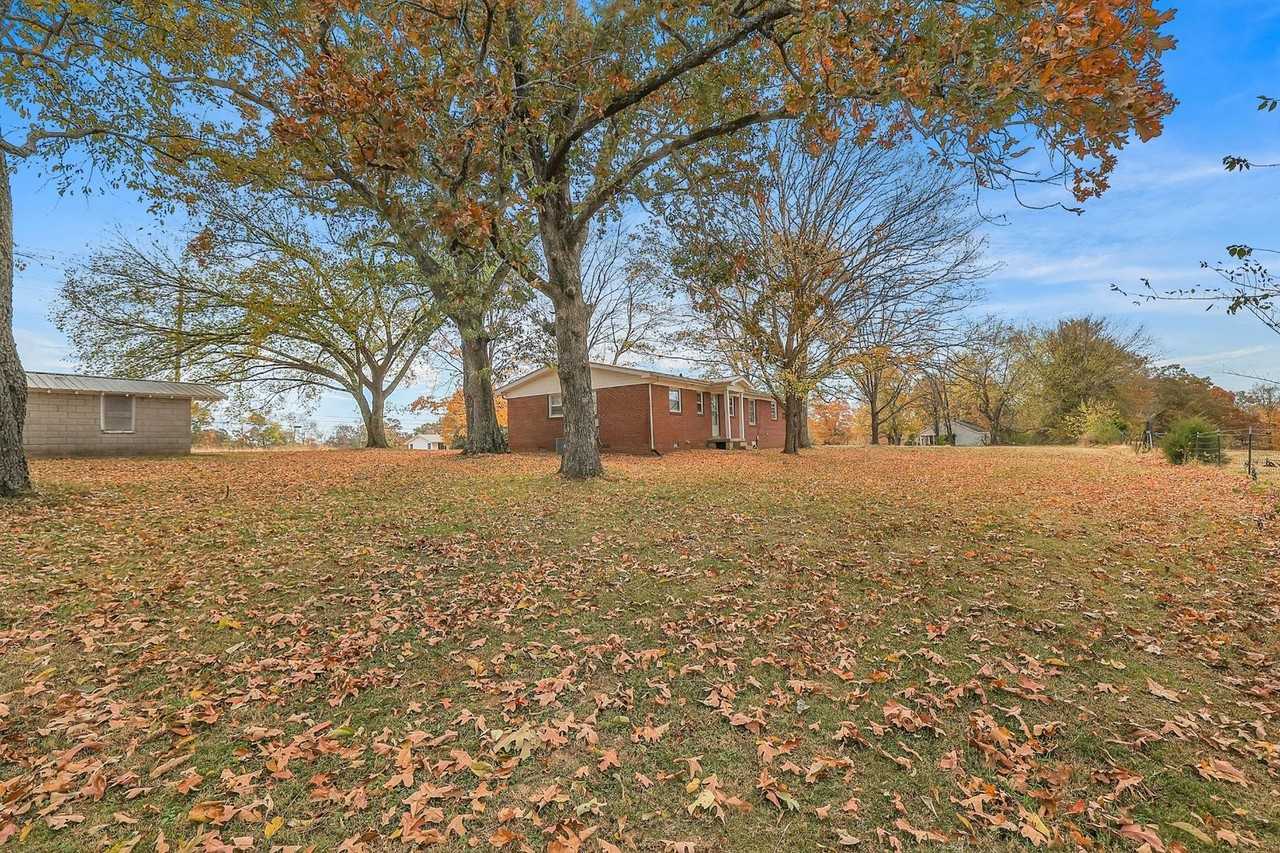 7350 Old Cox Pike - Photo 3 of 30