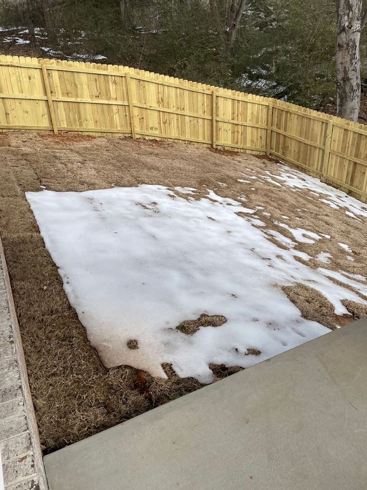 516 Lafayette St - Photo 6 of 12