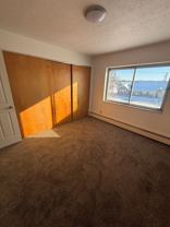 21 Olive - Photo 1 of 1