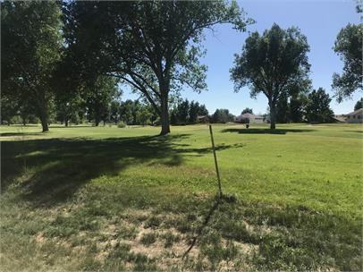 26 Jonquil St #1 - Photo 3 of 3