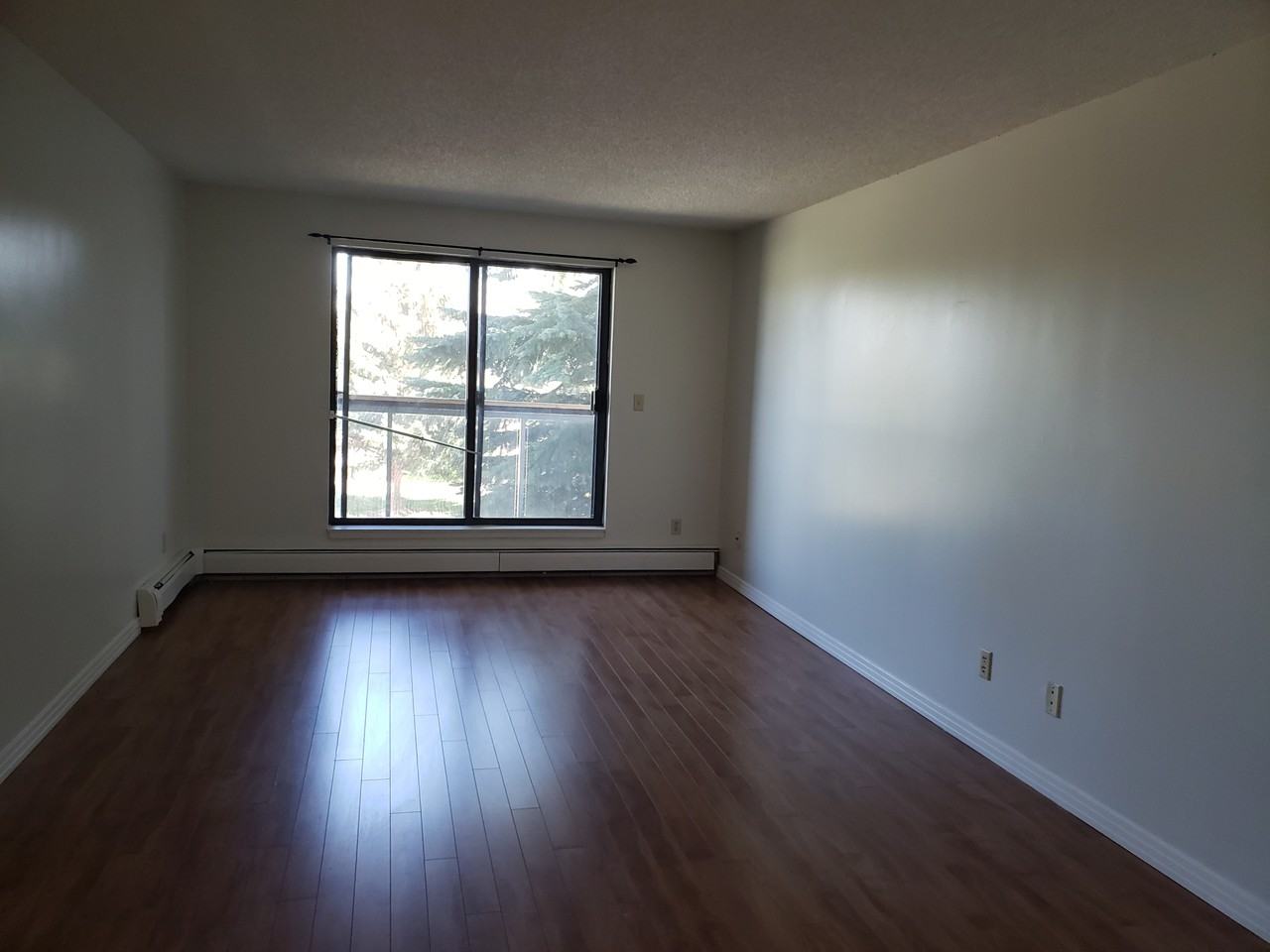 Ascot Court - Photo 7 of 8