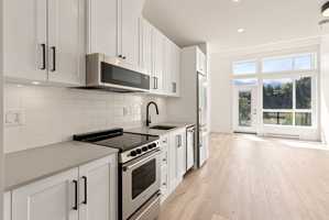 featured image of 6045 The Yearling #YE307