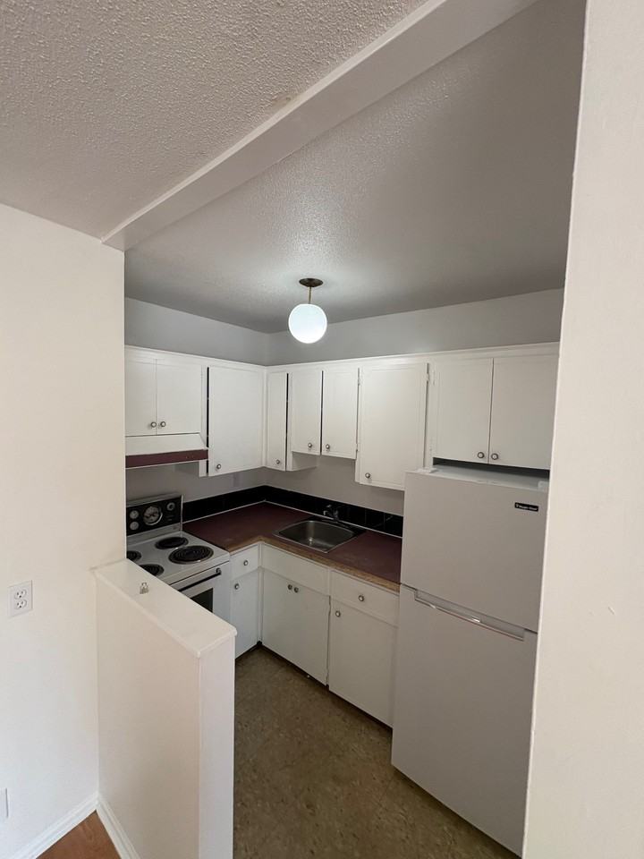 1006 Tolmie Ave #12 - Photo 7 of 8