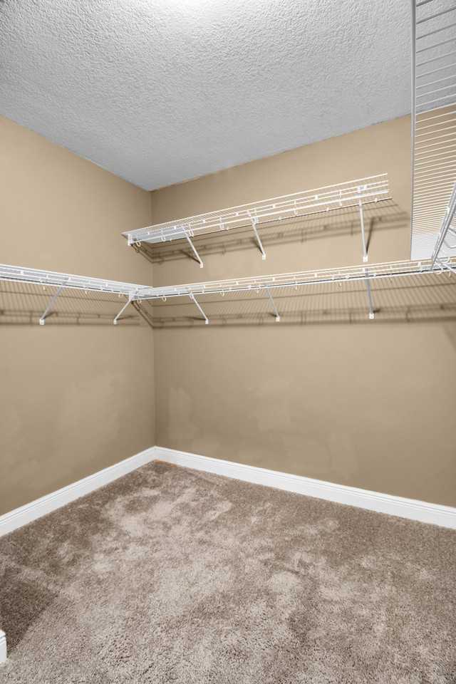 6791 Flintwood St #1 - Photo 7 of 8