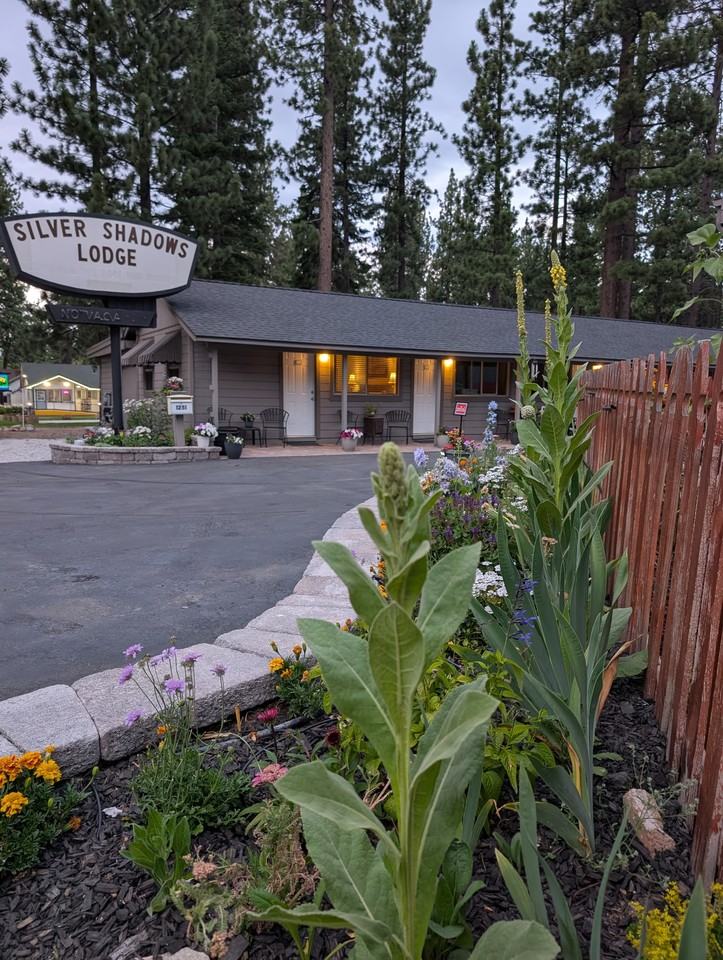 1251 Emerald Bay Rd #10