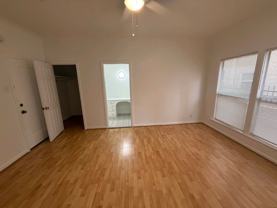 RYUCHESTNUT - Photo 1 of 1