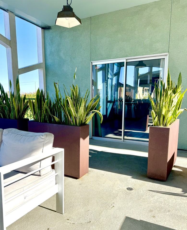 4405 4405 West Point Loma BoulevardHAVEN | Point Loma - 310 #310 - Photo 6 of 6