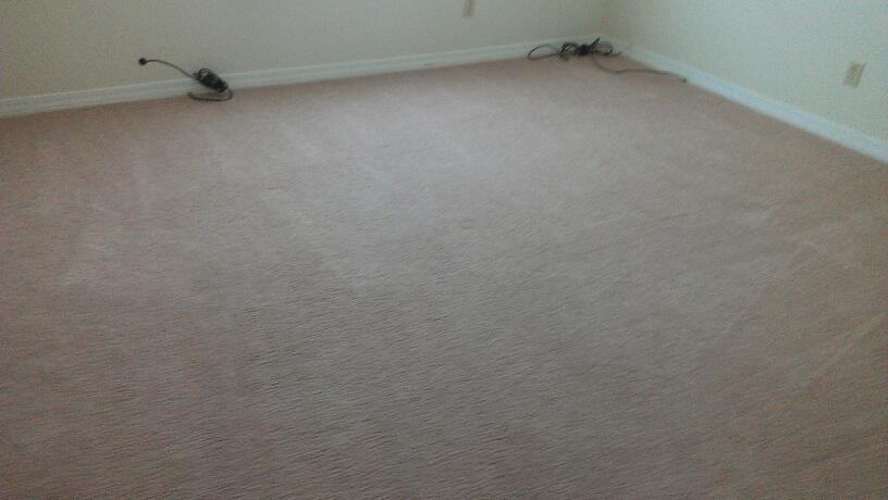 518 Landview St Apt A - Photo 5 of 12