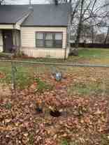 1519 W Huntsville Ave - Photo 1 of 1