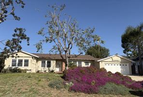 featured image of 47 Natalie Way