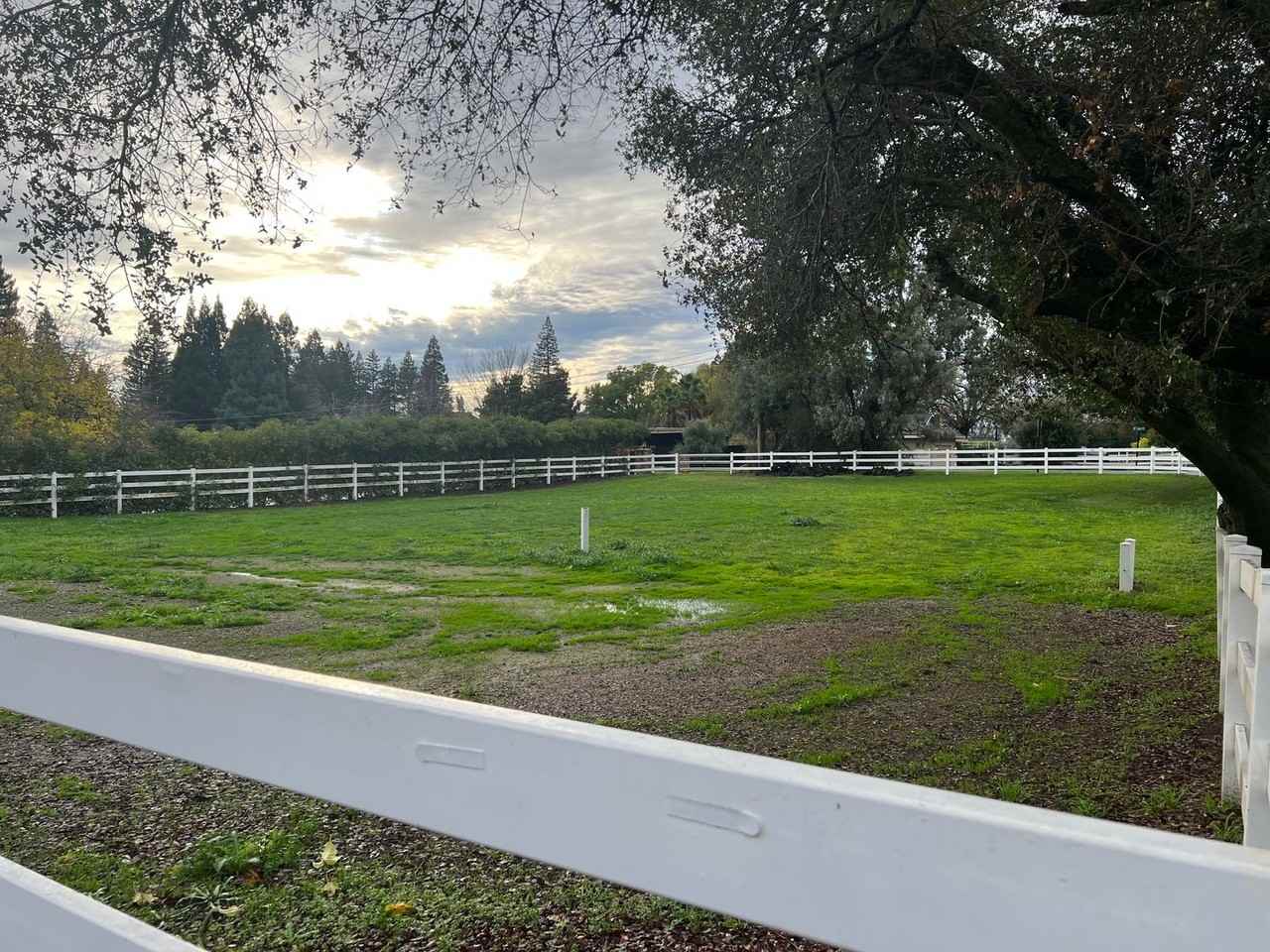 6740 Eureka Rd - Photo 3 of 23