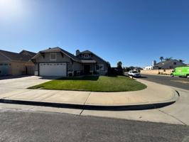 featured image of Lark St