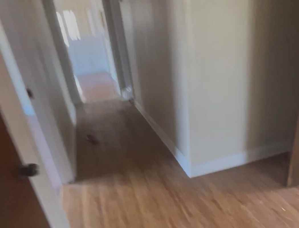 2831 Law St - Photo 5 of 6