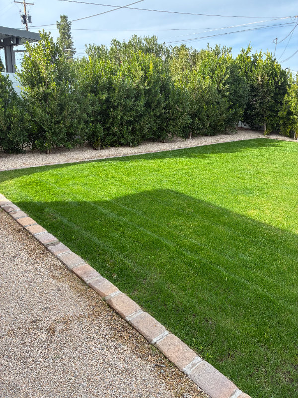 3536 E Amelia Ave - Photo 2 of 2