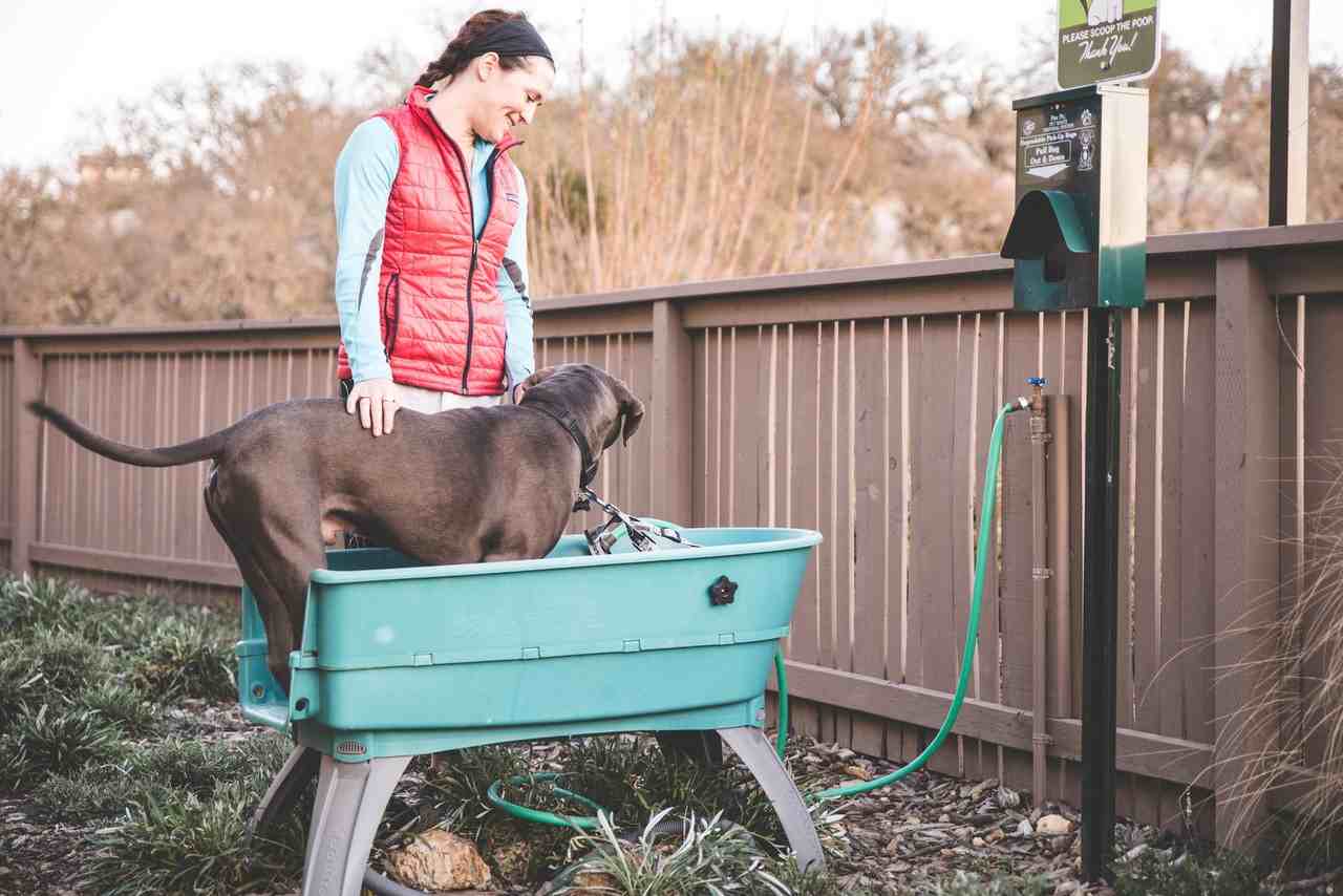 Las Lomas Village - Photo 5 of 18