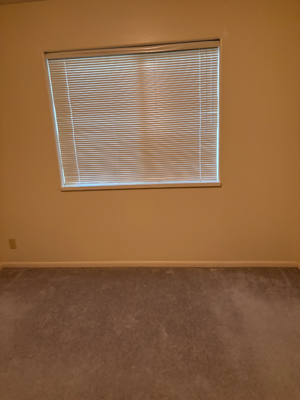 285 Waldorf Pl - Photo 6 of 14