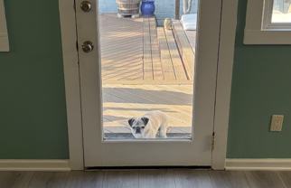 536 Arlington St #UPPER - Photo 1 of 1