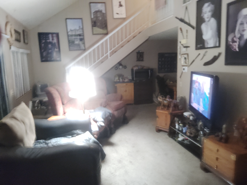 3631 Raven Dr Lake Elsinore #3631 - Photo 3 of 6