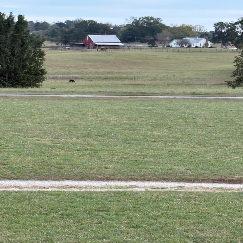 760 Old Camp Church Rd - Photo 3 of 19