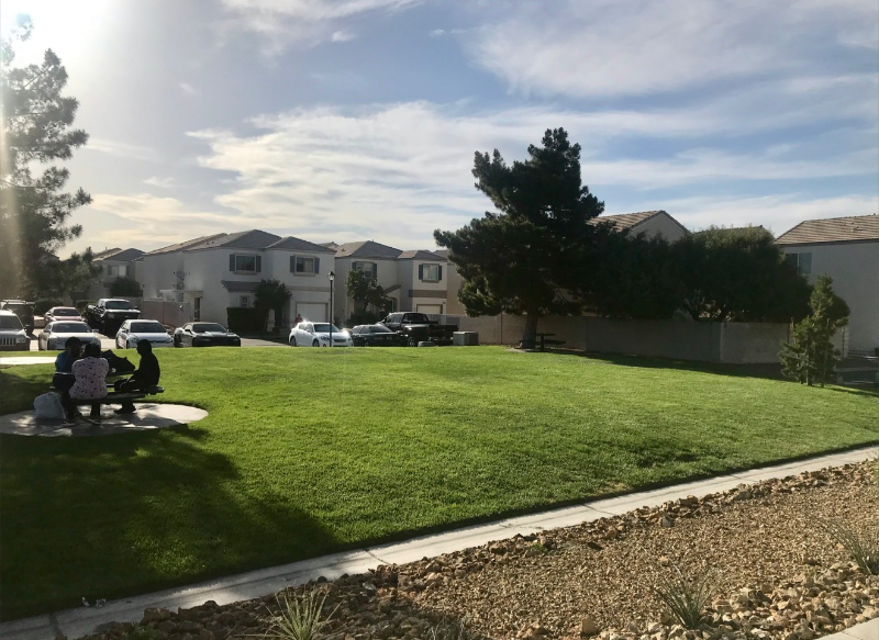 10063 Swimming Hole St - Photo 4 of 15