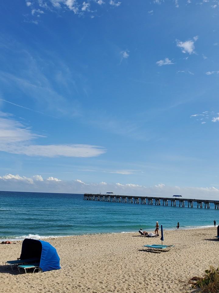 310 S J St #2 - Photo 3 of 21