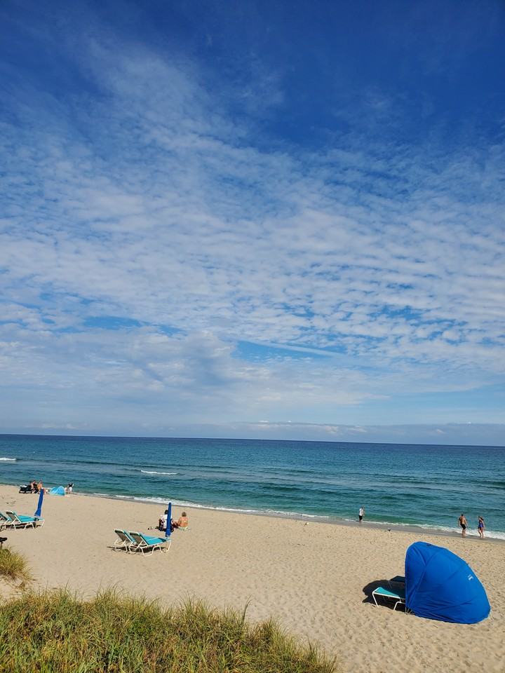 310 S J St #2 - Photo 4 of 21