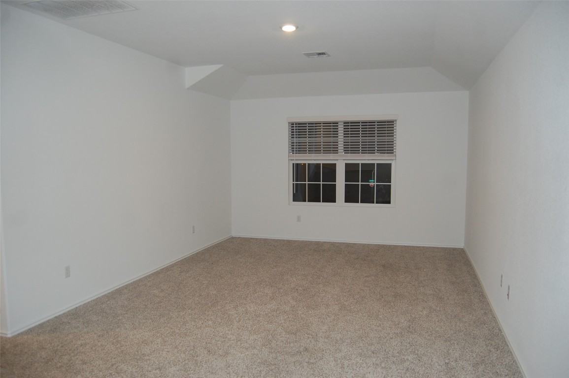 3301 Dusted Daisey St #3301 - Photo 5 of 15