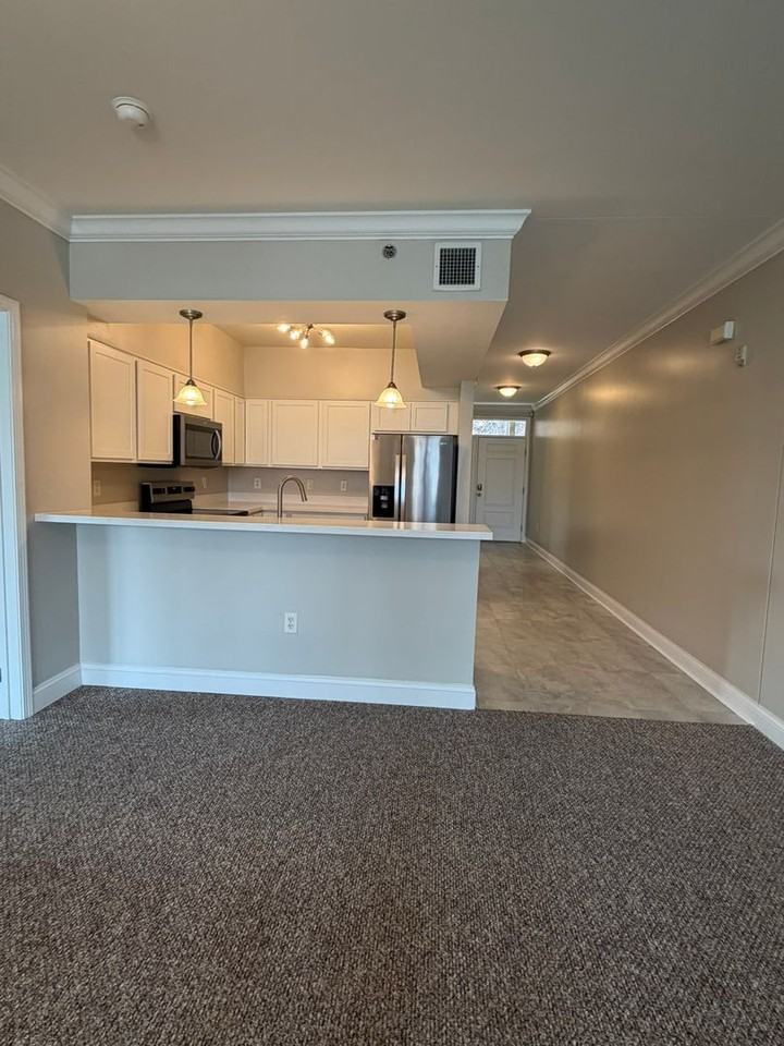 3001 River Towne Way #401 - Photo 4 of 30