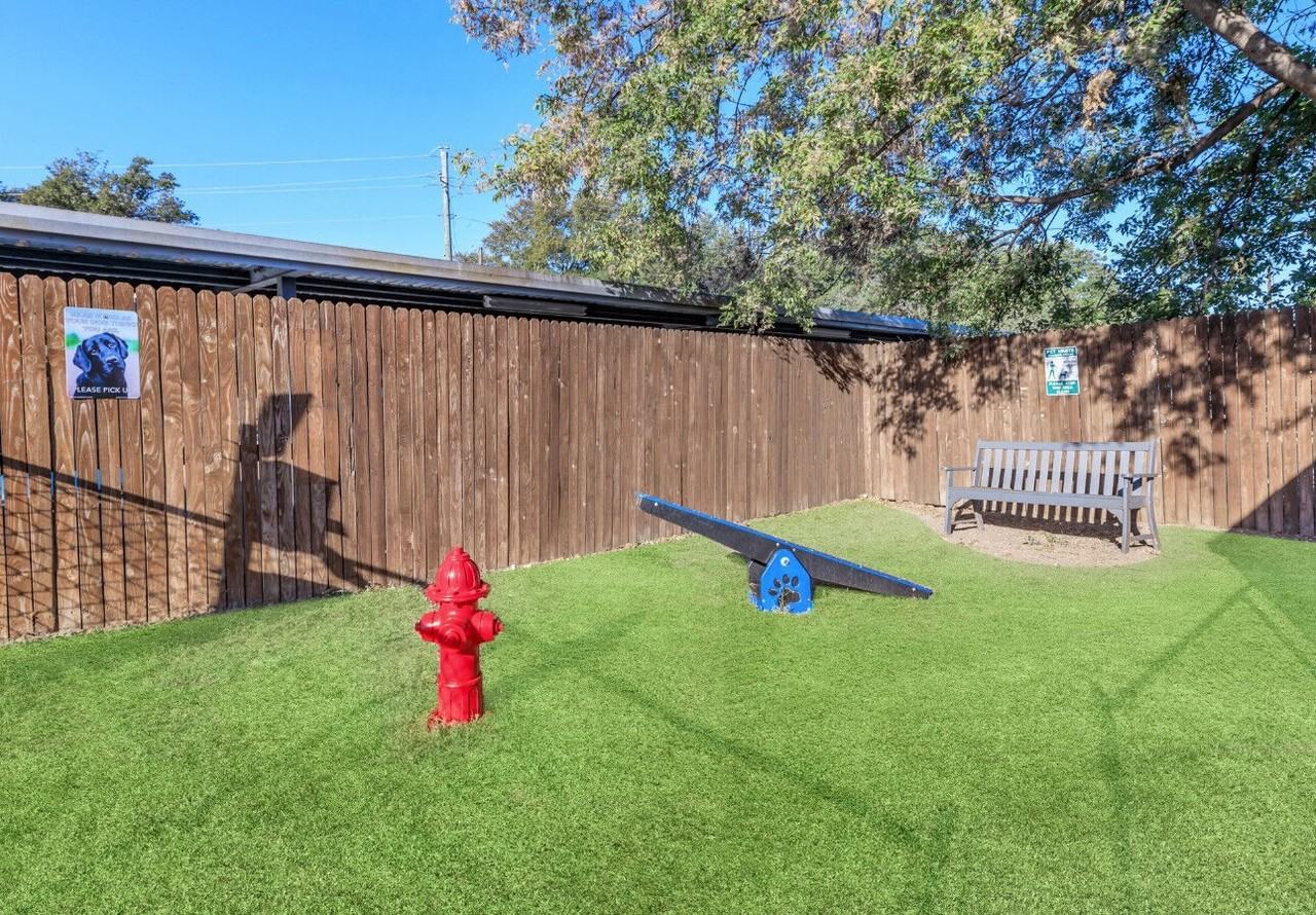 Fountains of Jupiter - Photo 6 of 25