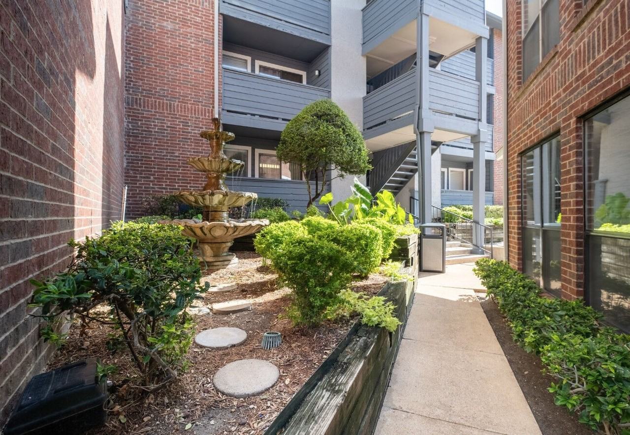 Fountains of Jupiter - Photo 7 of 25