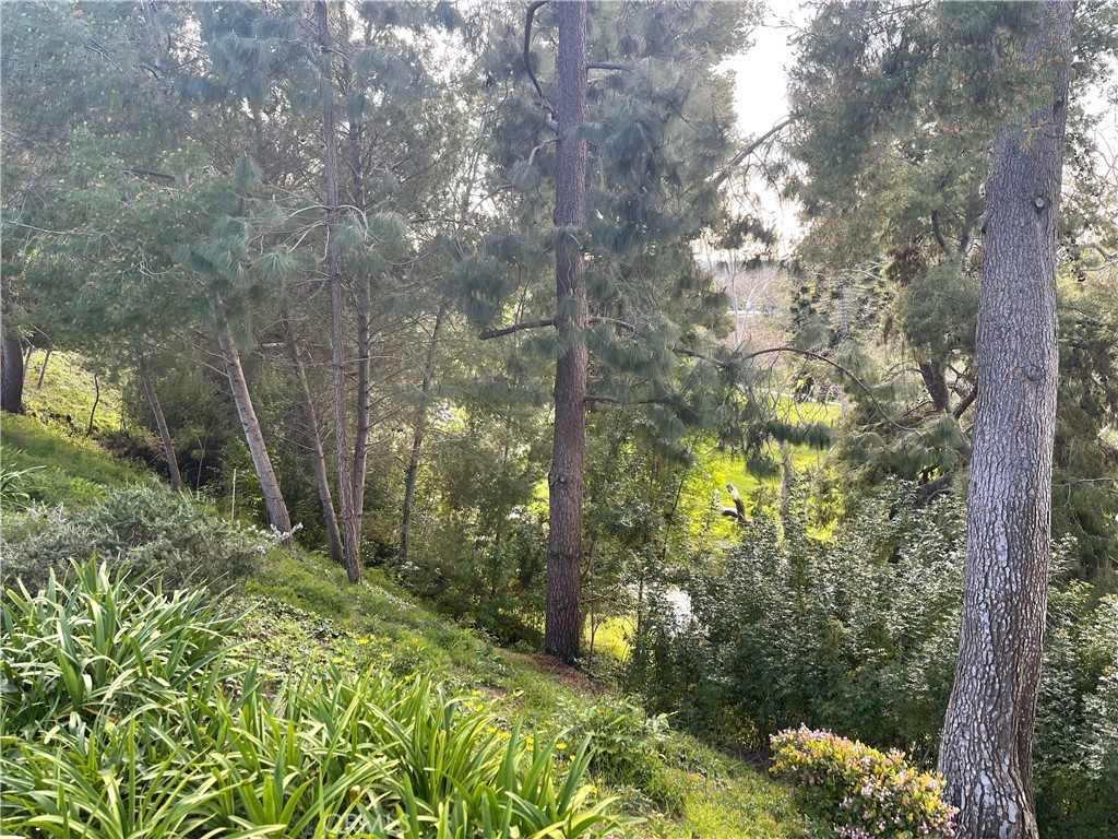 638 Avenida Sevilla #638B - Photo 4 of 31