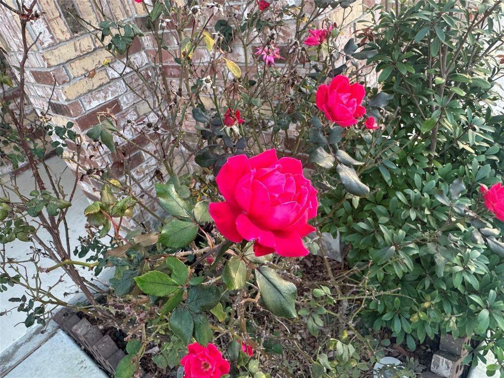 4433 Venticano Pl #4433 - Photo 7 of 40