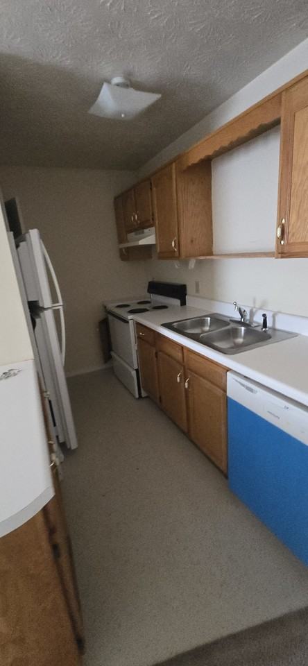 3100 Dodson Branch Rd - Photo 2 of 26