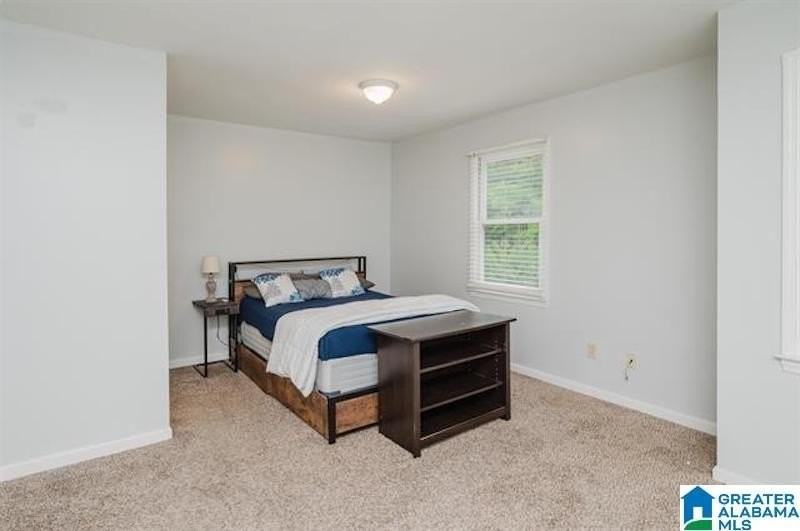 218 Carl Nichols Dr - Photo 7 of 13