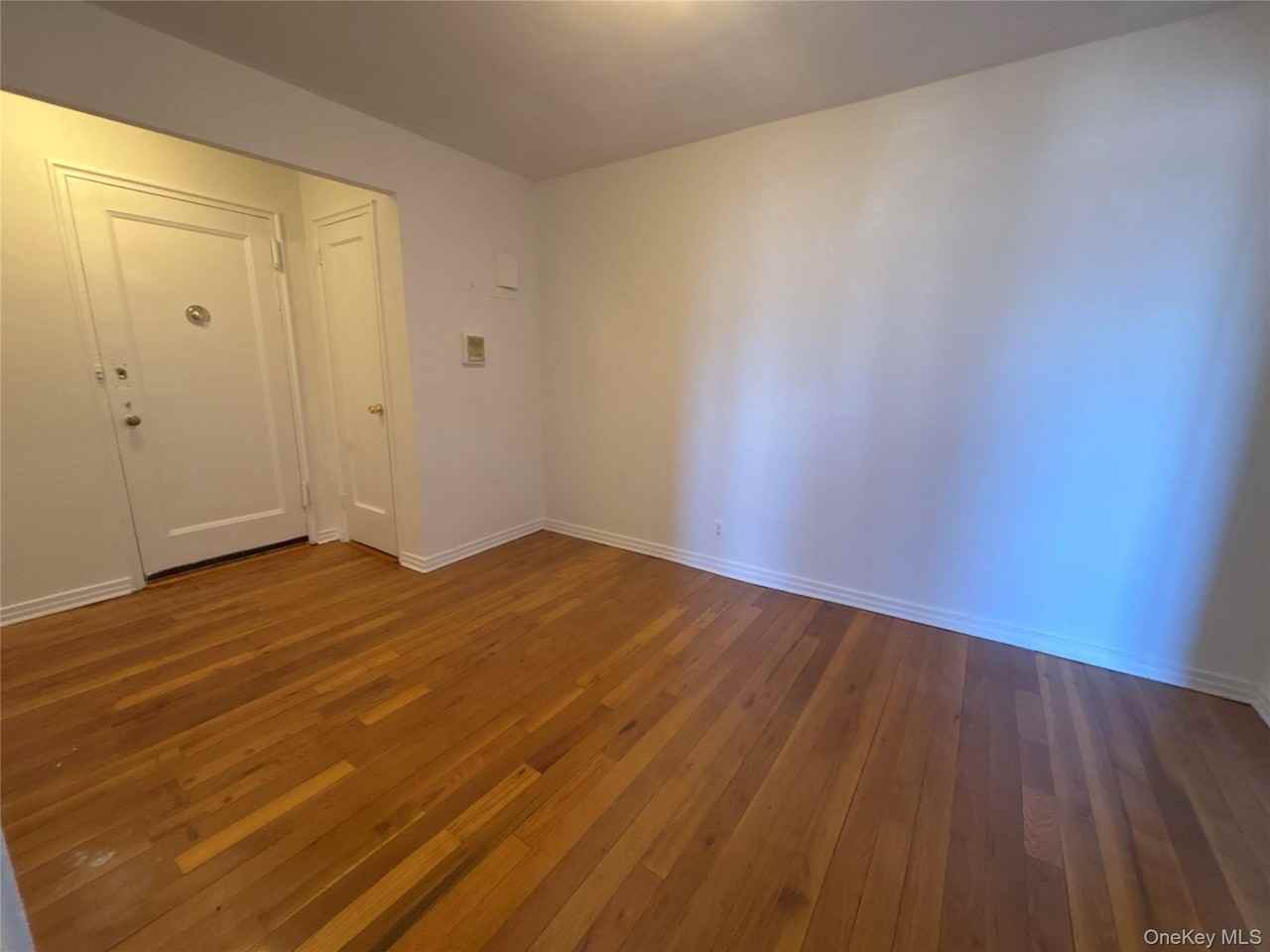 23 Schenck Ave Apt 2ce #2CE - Photo 3 of 15