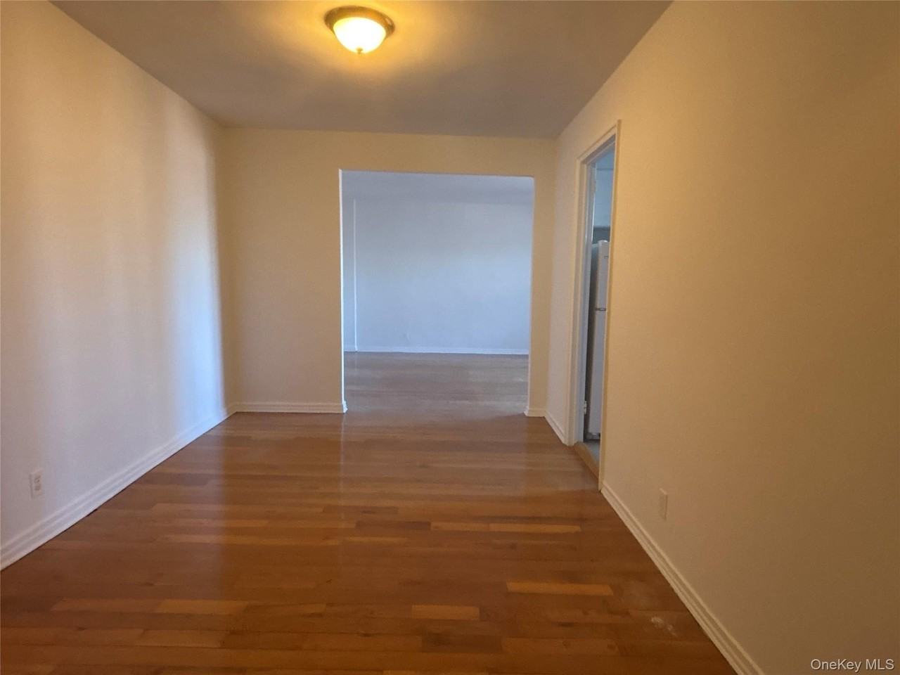 23 Schenck Ave Apt 2ce #2CE - Photo 5 of 15