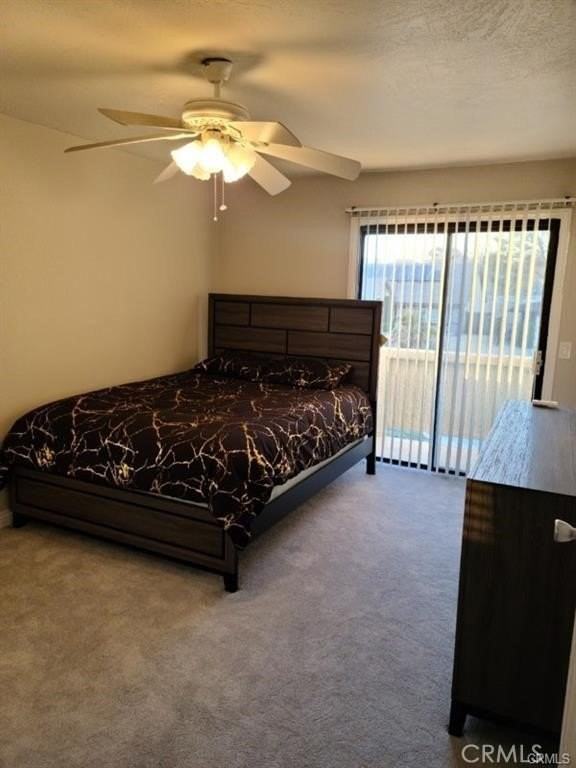 27609 Silver Lakes Pkwy - Photo 4 of 17