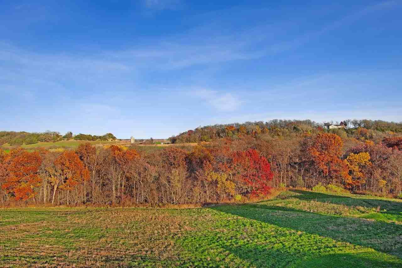 534 Hanover HIll Ln - Photo 5 of 13