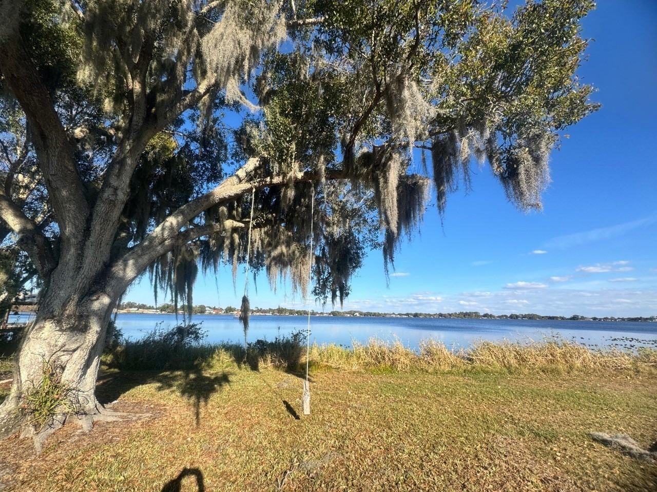 734 Memorial Dr - Photo 5 of 50