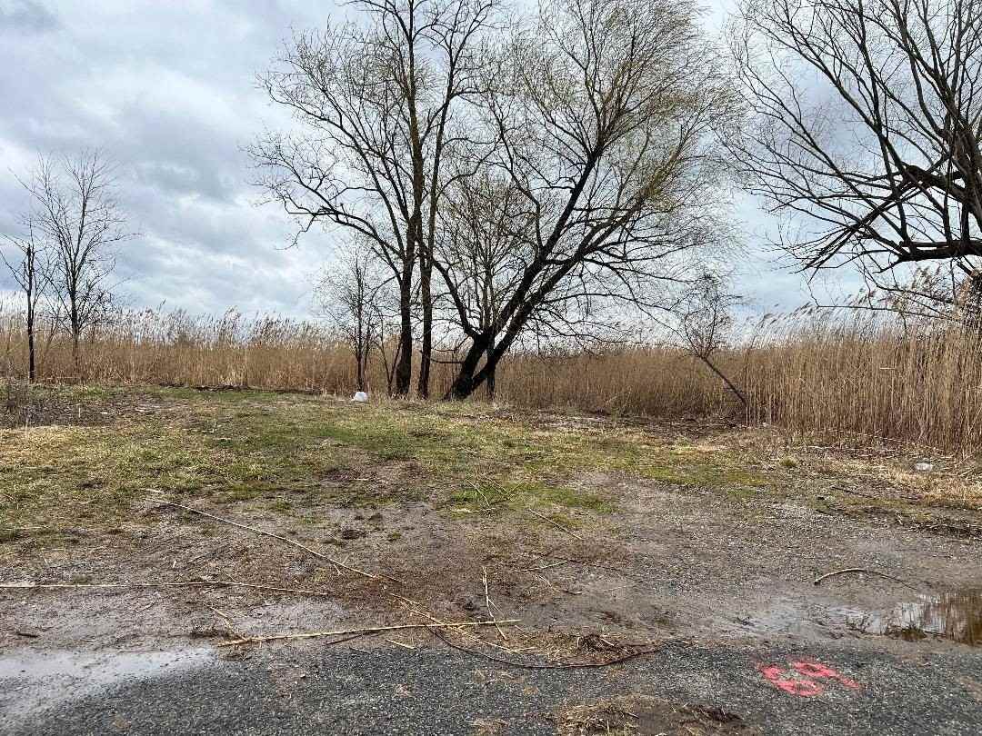 Kissam Ave - Photo 2 of 5