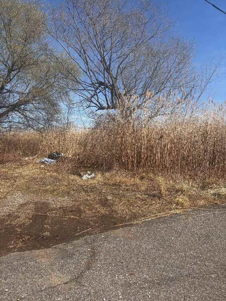 Kissam Ave - Photo 4 of 5