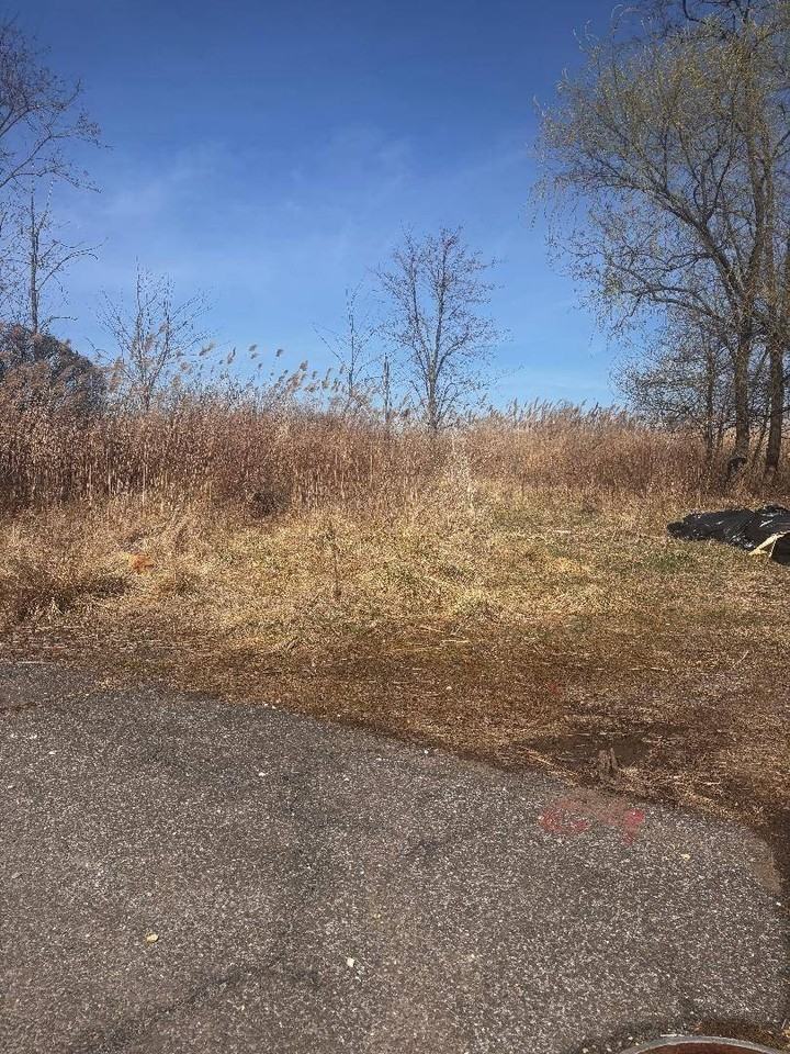 Kissam Ave - Photo 5 of 5