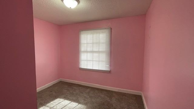 2504 Farnell Dr - Photo 3 of 6