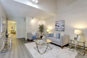 featured image of 505 Cypress Point Dr