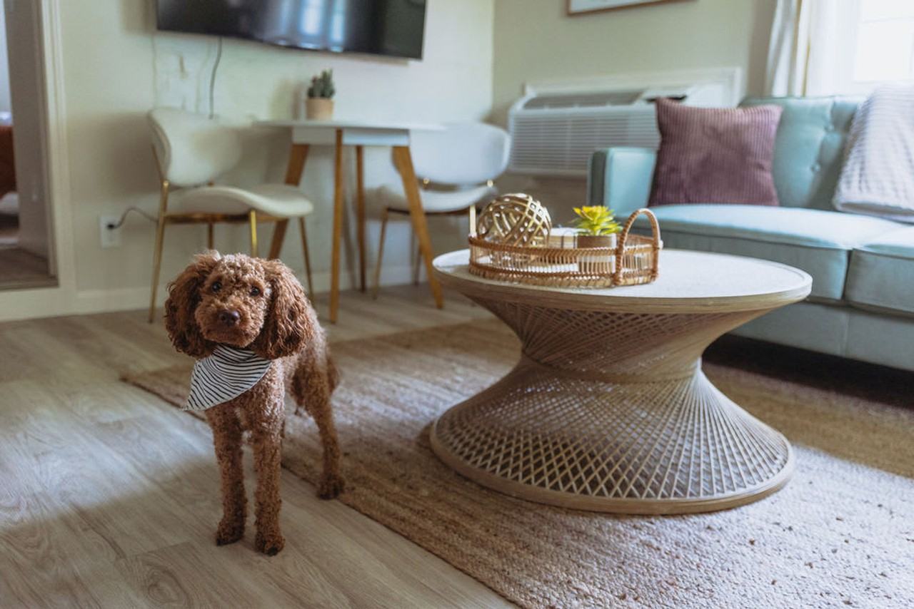 308 Lamont St #1397970P - Photo 3 of 27