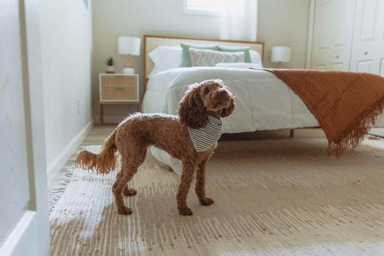 308 Lamont St #1397970P - Photo 7 of 27