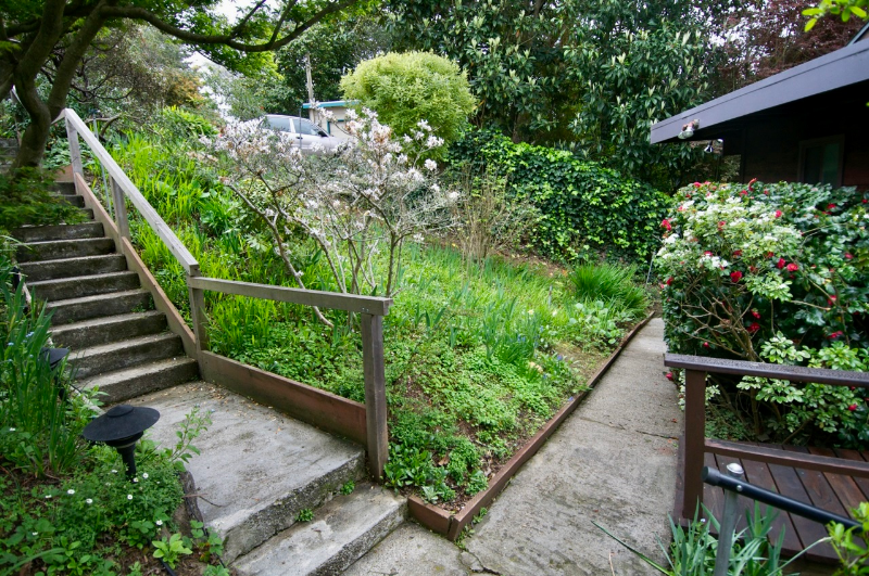 1 Northberkeleyhills #MAIN - Photo 3 of 21