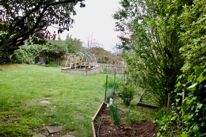 1 Northberkeleyhills #MAIN - Photo 6 of 21