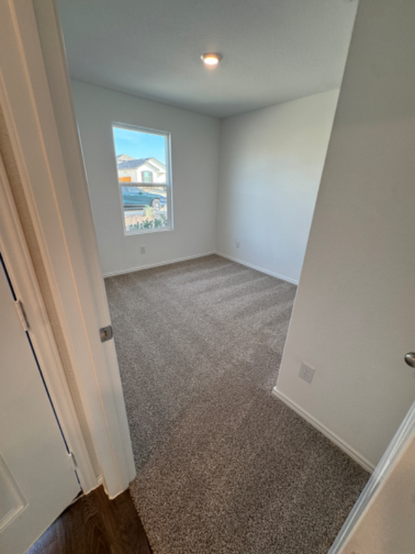 2046 Zephyr Lily - Photo 4 of 13