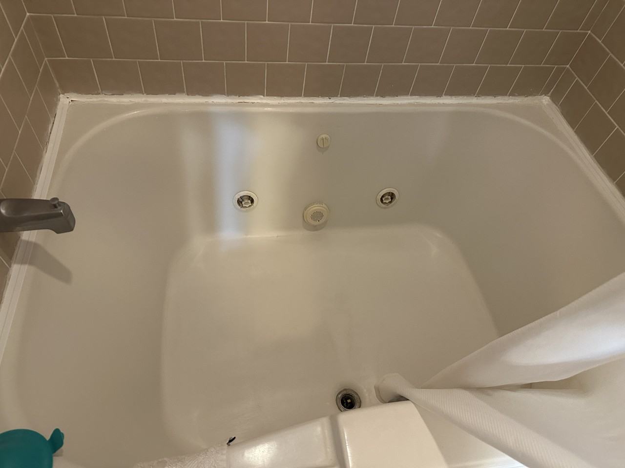 313 Palomino Path #A - Photo 5 of 11